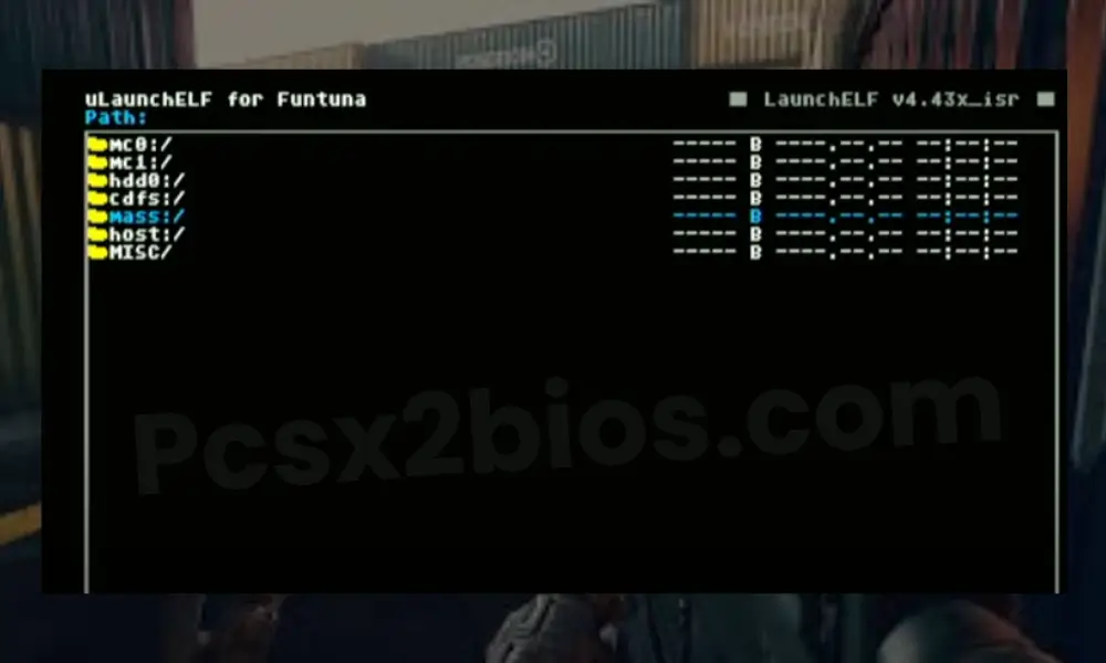 Load the BIOS Dumper from USB